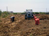 Organic Potatoes farming in Naxos, Mikri Vigla