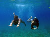 Diving in Mikri Vigla, Naxos