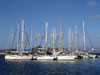 organise one day cruises from Naxos